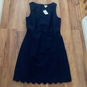 BNWT J. crew dress